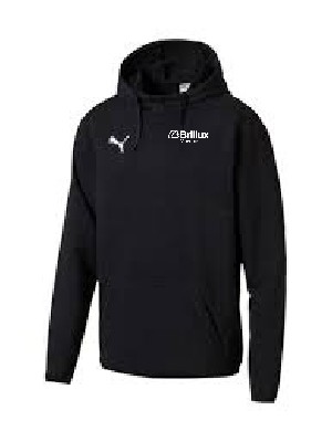 LG Brillux Puma Liga Casuals Hoody black