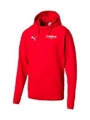 LG Brillux Puma Liga Casuals Hoody